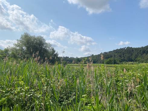 Salzsee5