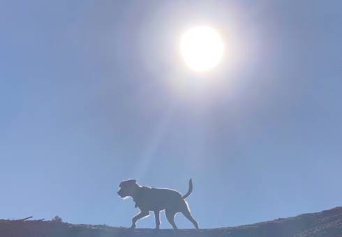 Sonne2